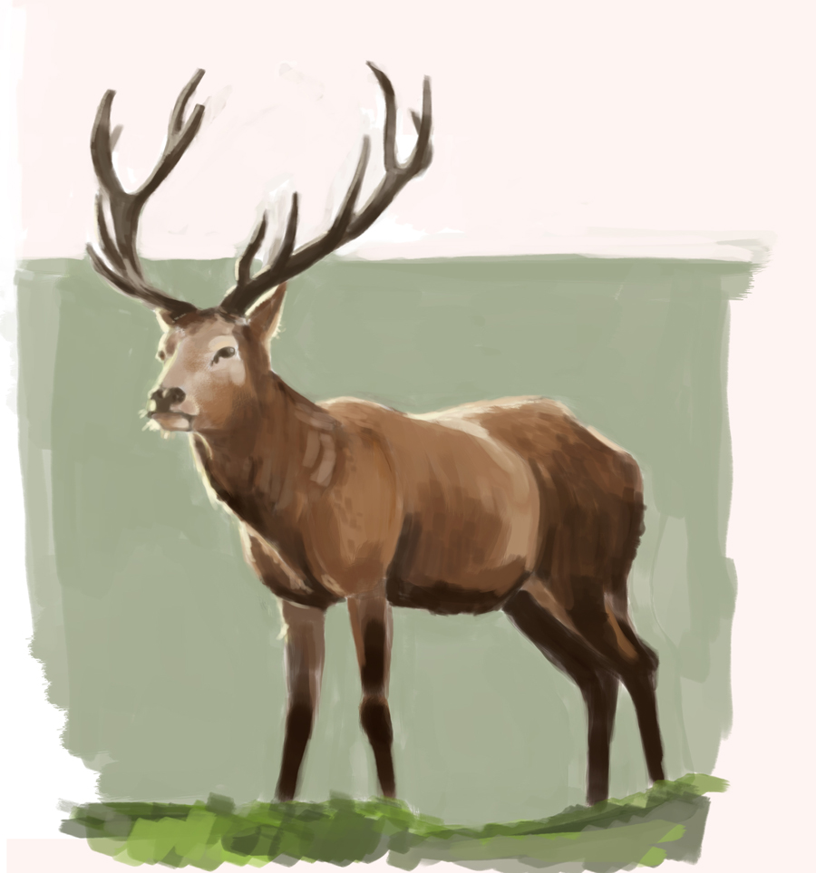 Hirsch deer digital