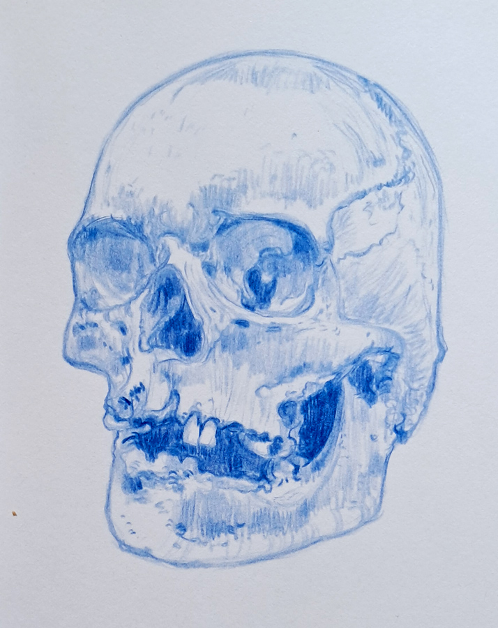 skull