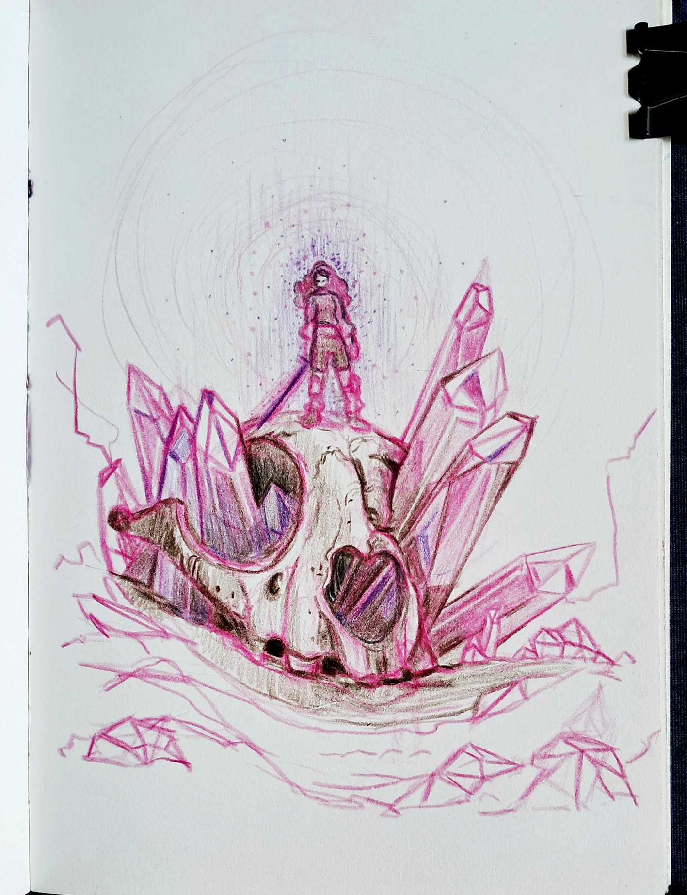 skulls