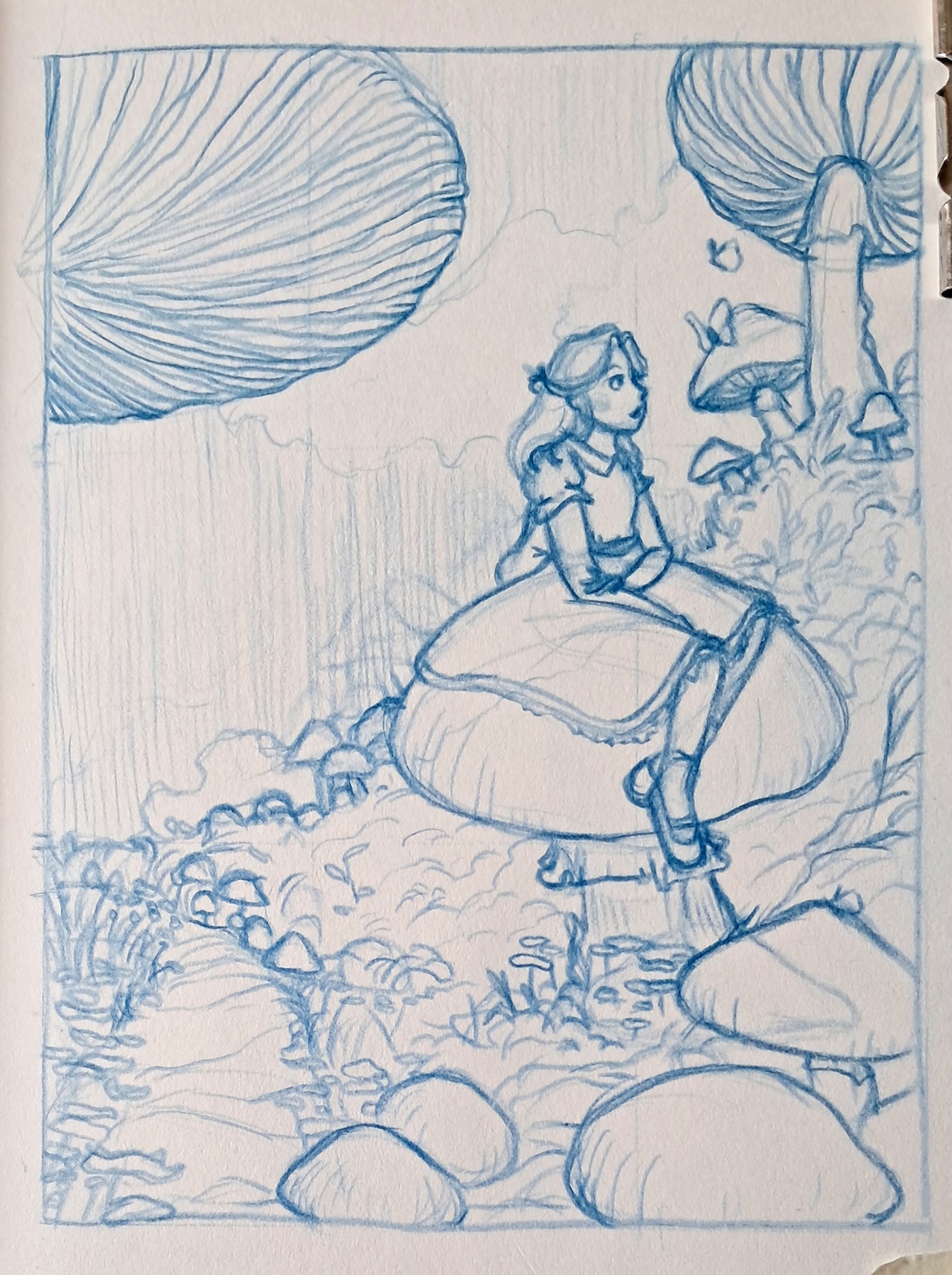 sketch